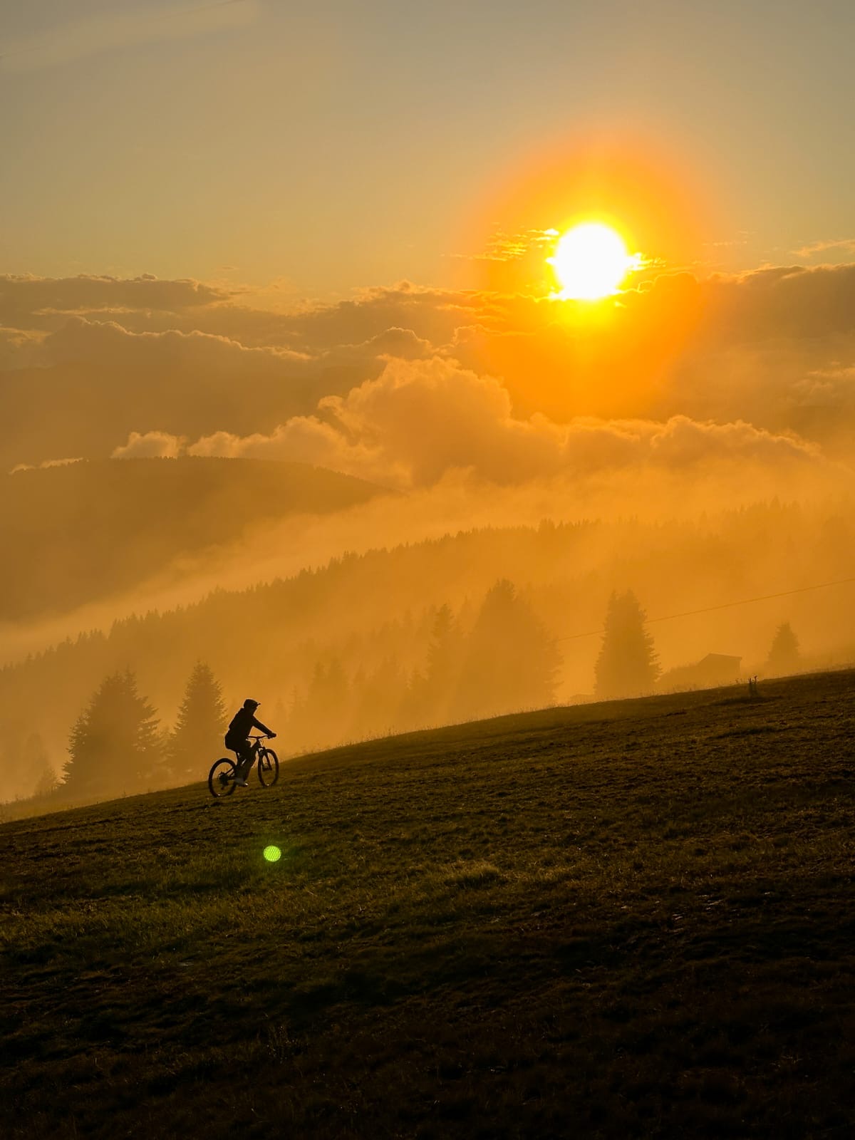 Waldlandschaft in Kärnten